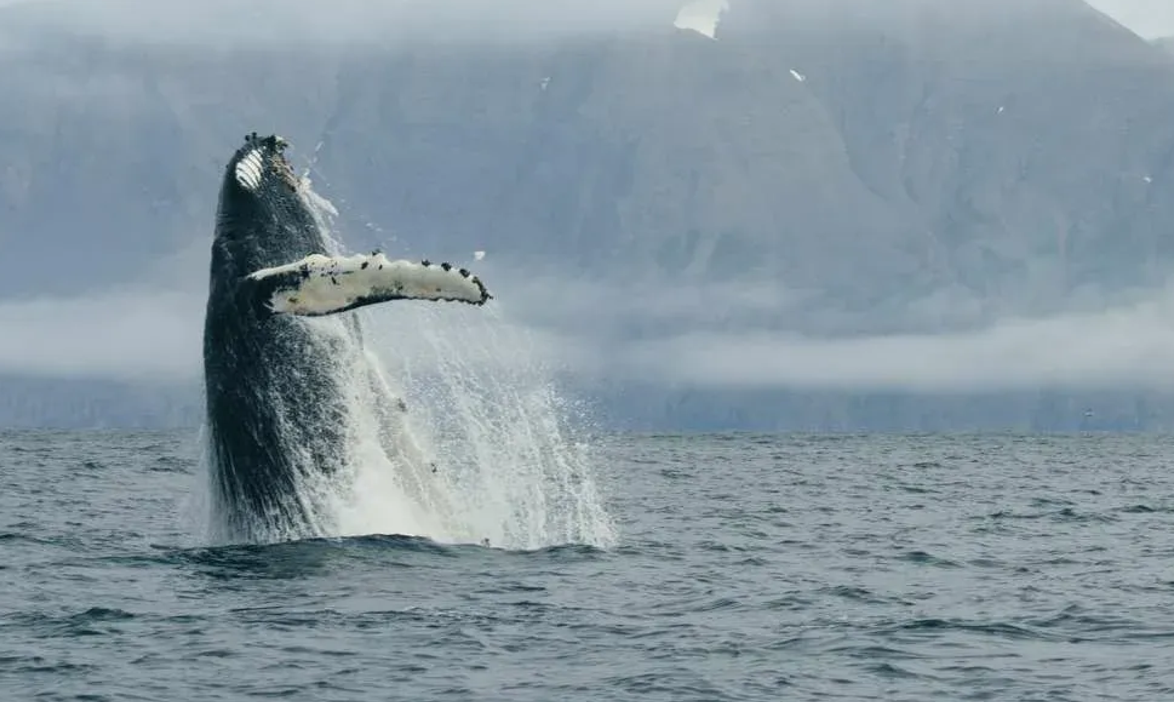 День 3. Дальвик